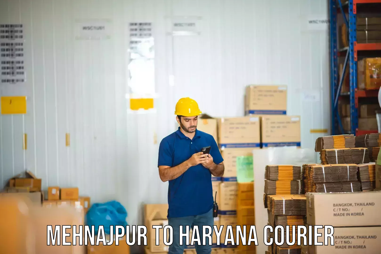 Smart courier technologies Mehnajpur to Bahadurgarh
