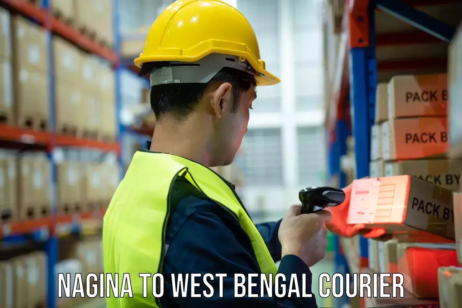 Courier dispatch services in Nagina to West Bengal