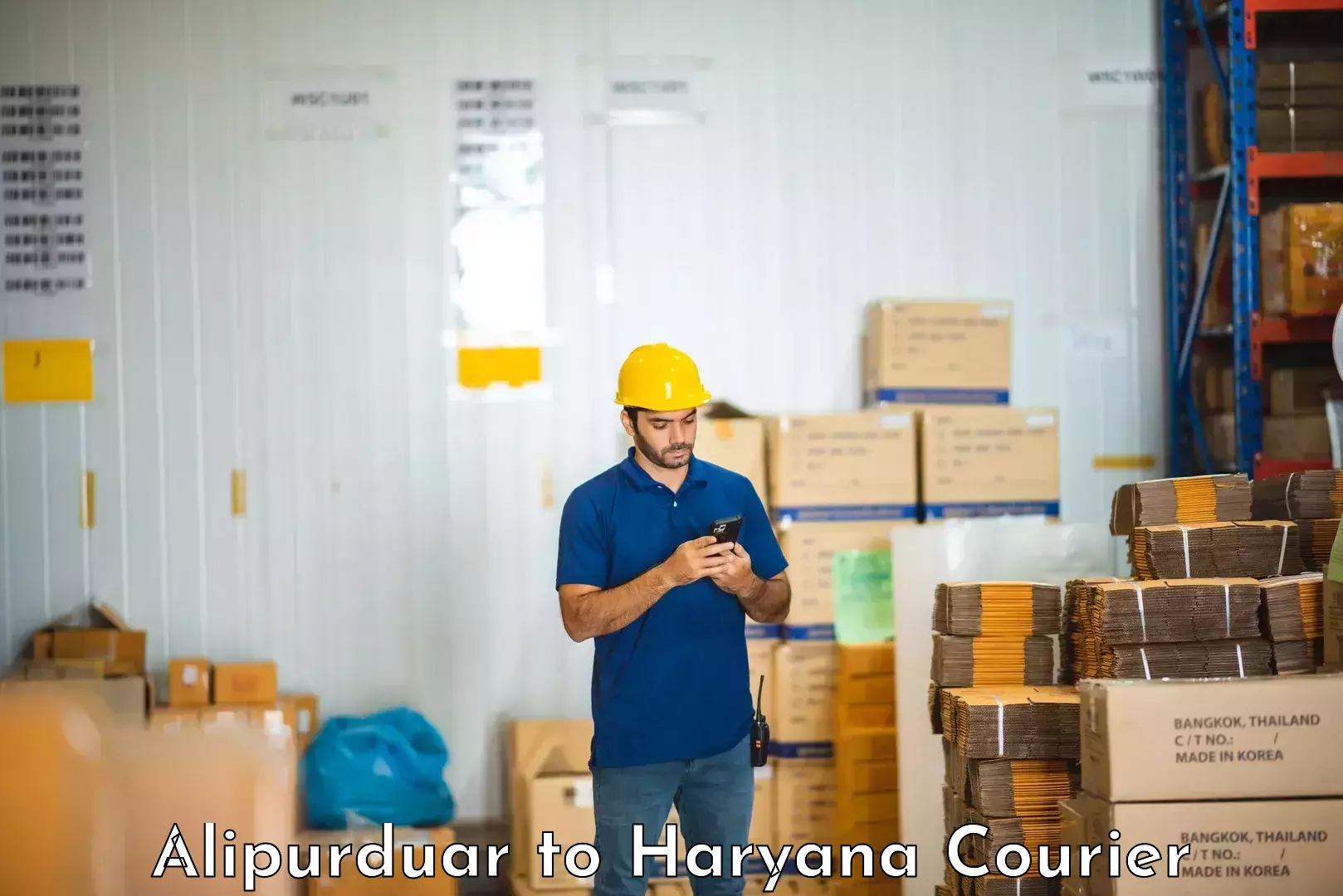 Professional furniture shifting Alipurduar to Haryana