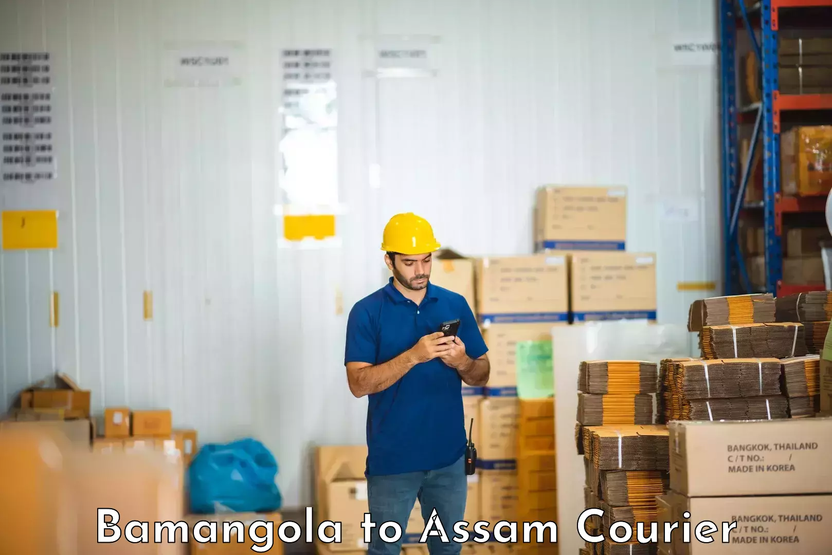 Professional furniture movers Bamangola to Hojai Lanka