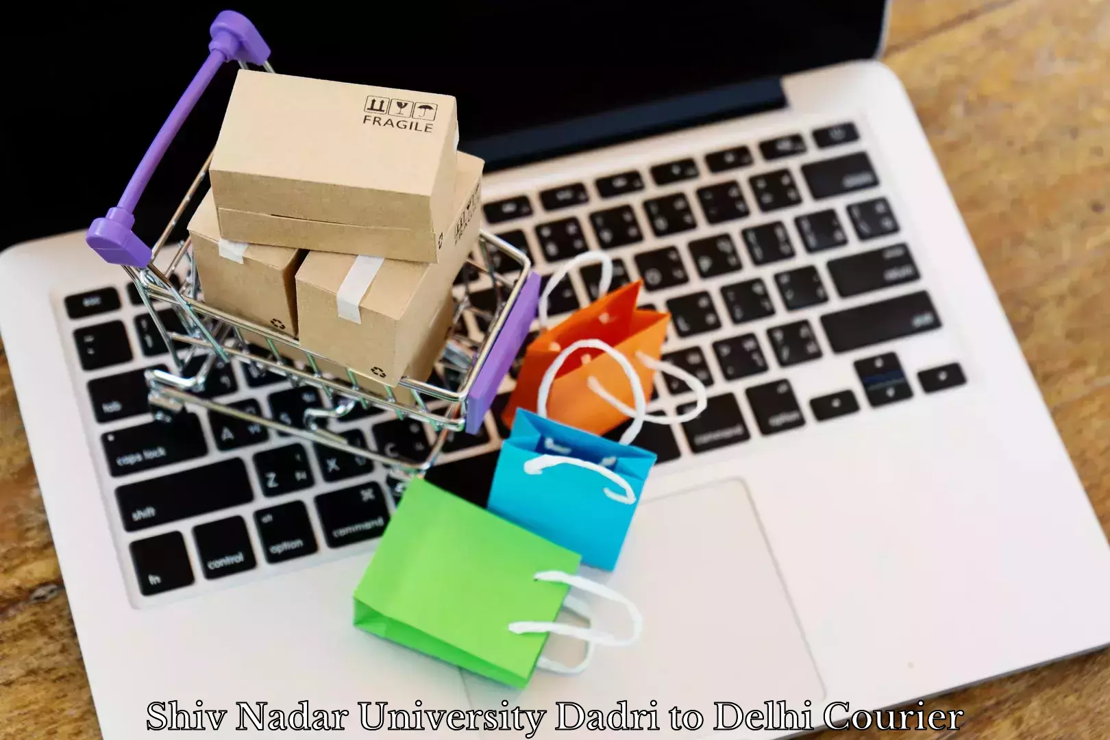 Online luggage shipping booking Shiv Nadar University Dadri to Delhi