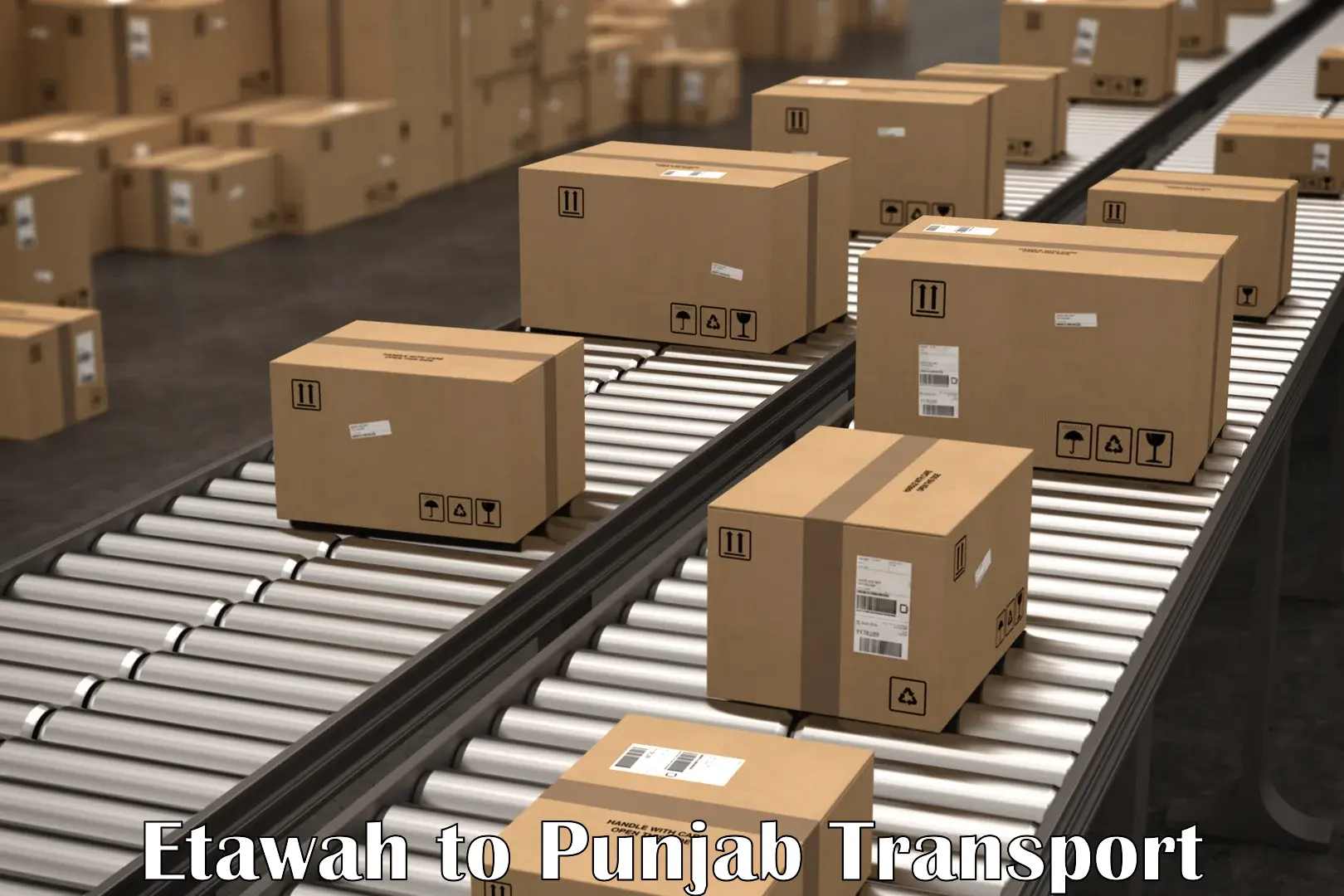 Parcel transport services Etawah to Punjab
