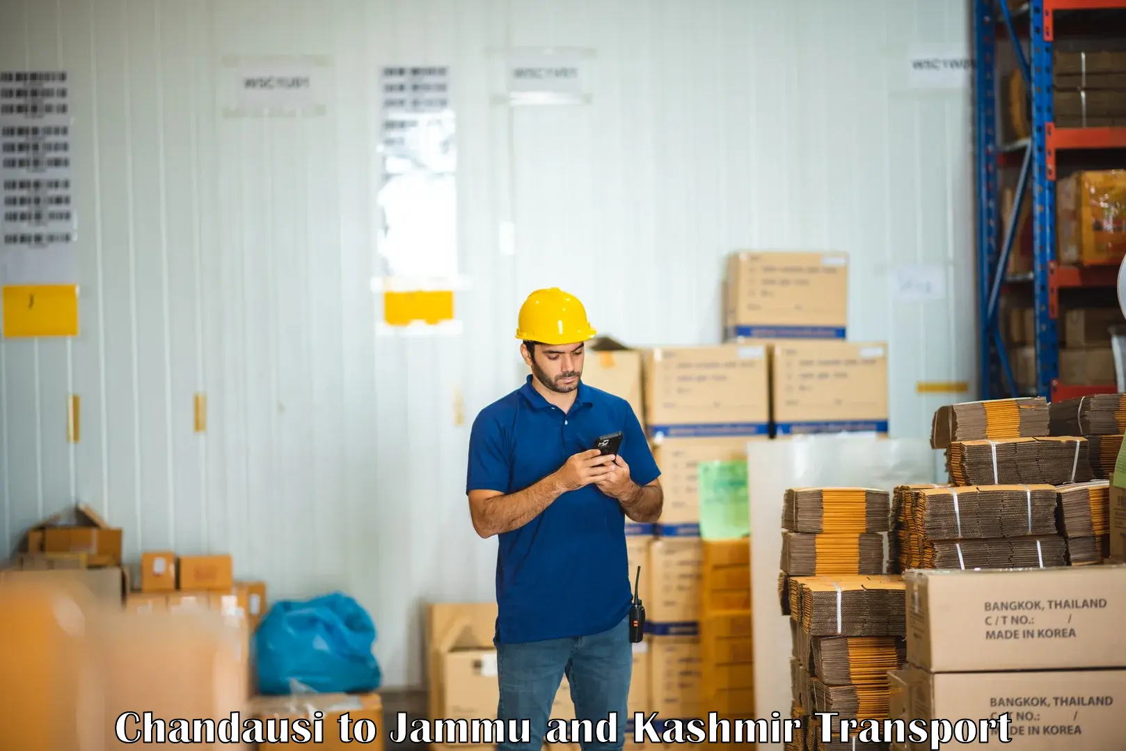 Container transportation services in Chandausi to Pulwama