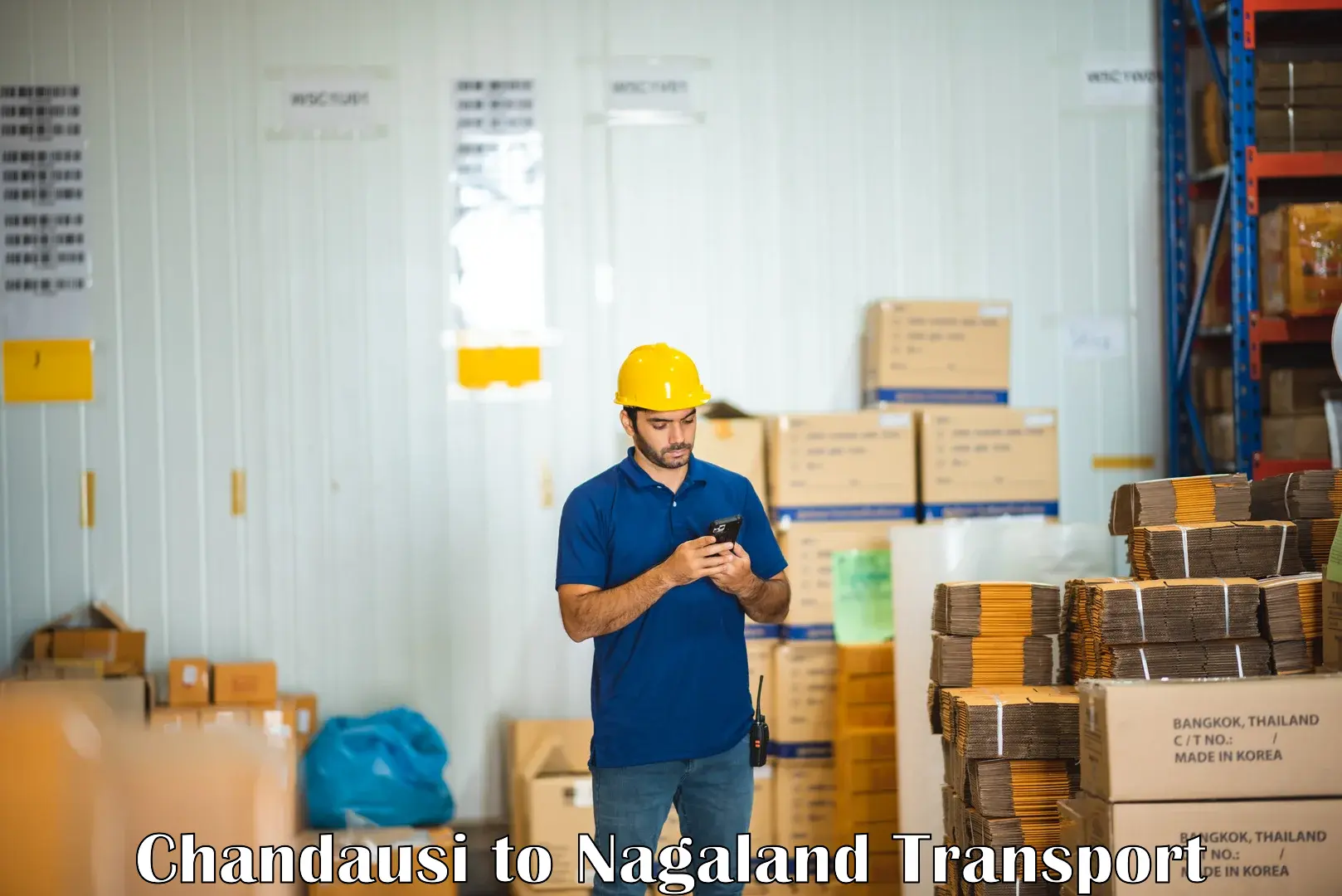 Interstate goods transport Chandausi to Longleng