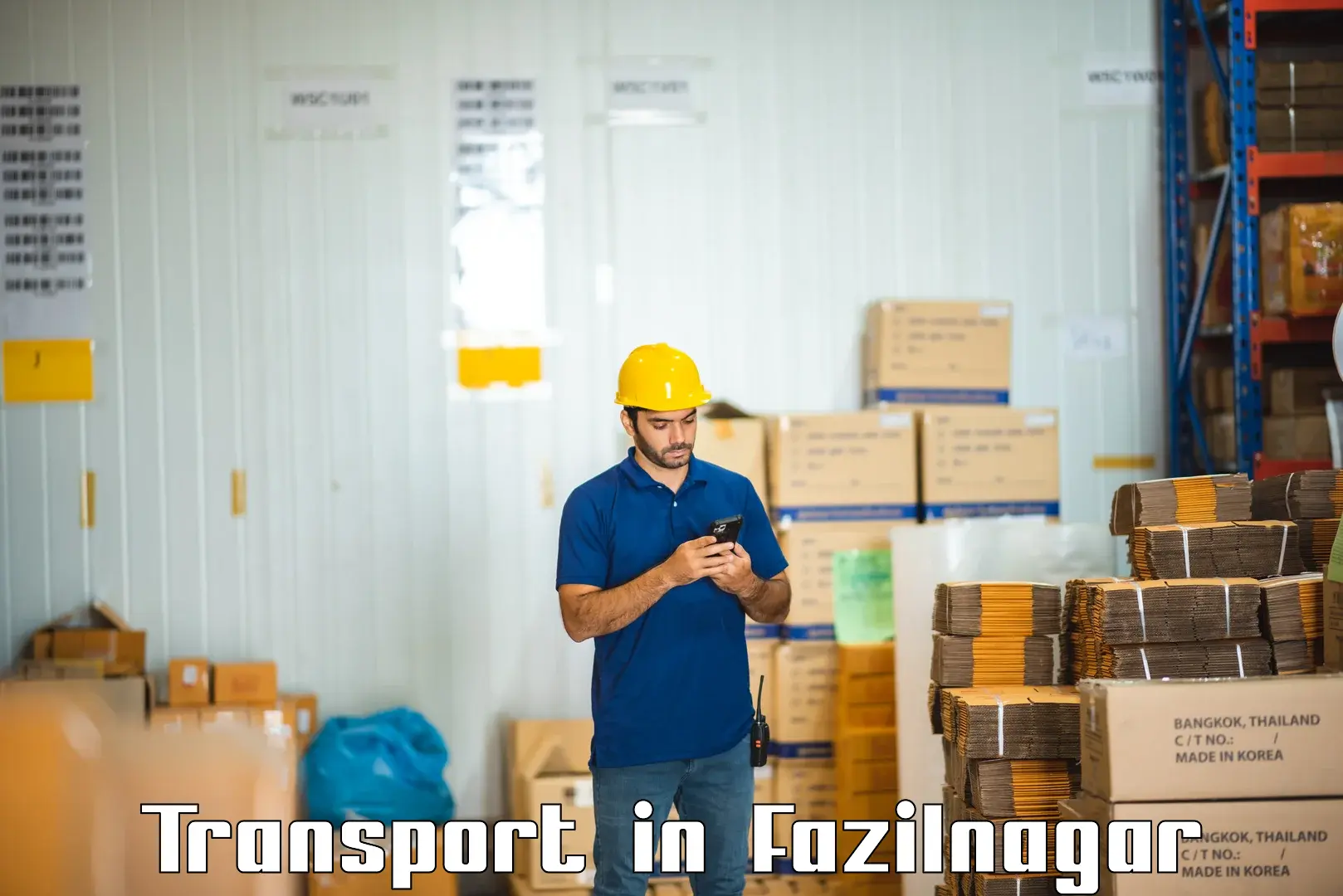 Logistics transportation services in Fazilnagar