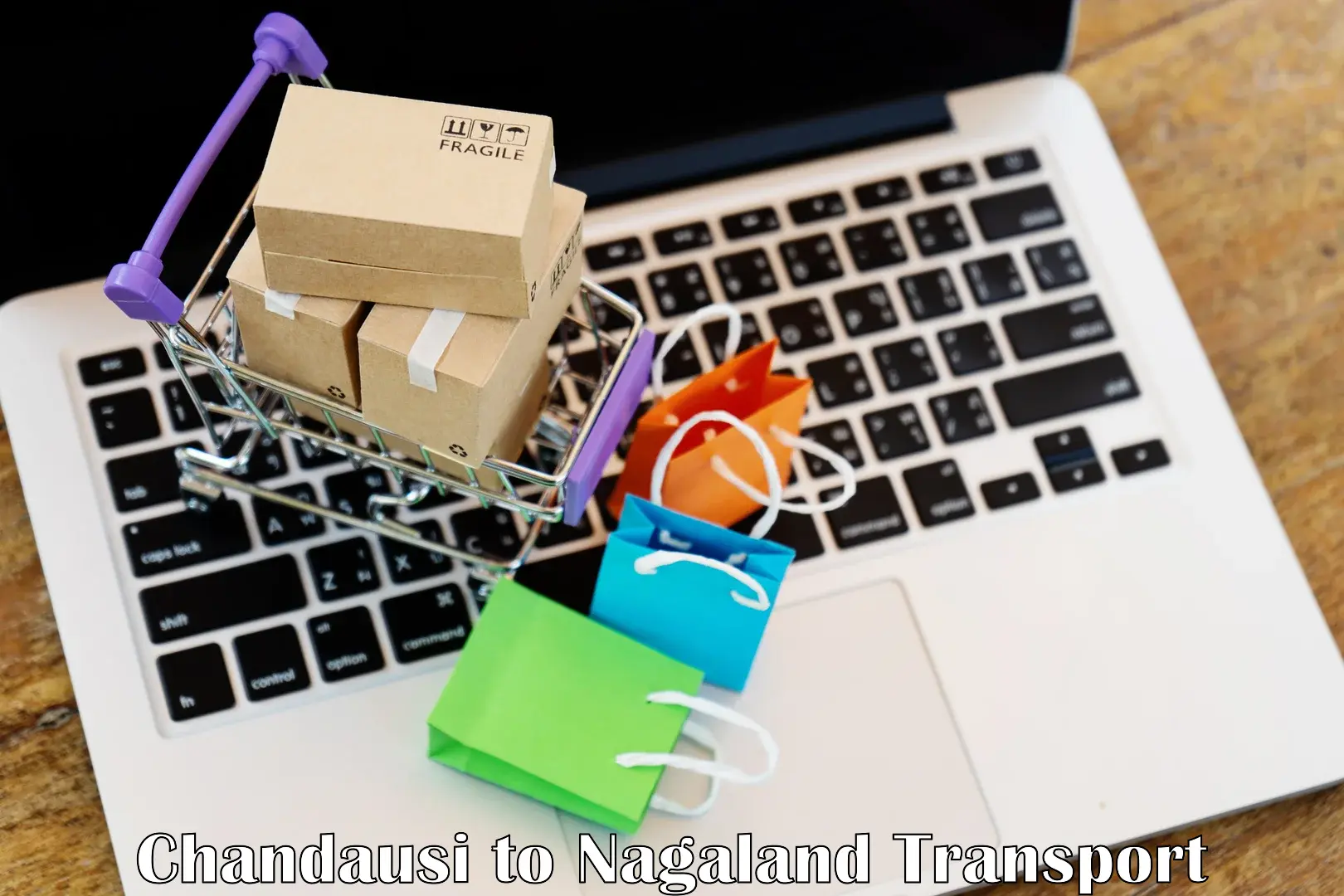 Online transport Chandausi to Phek