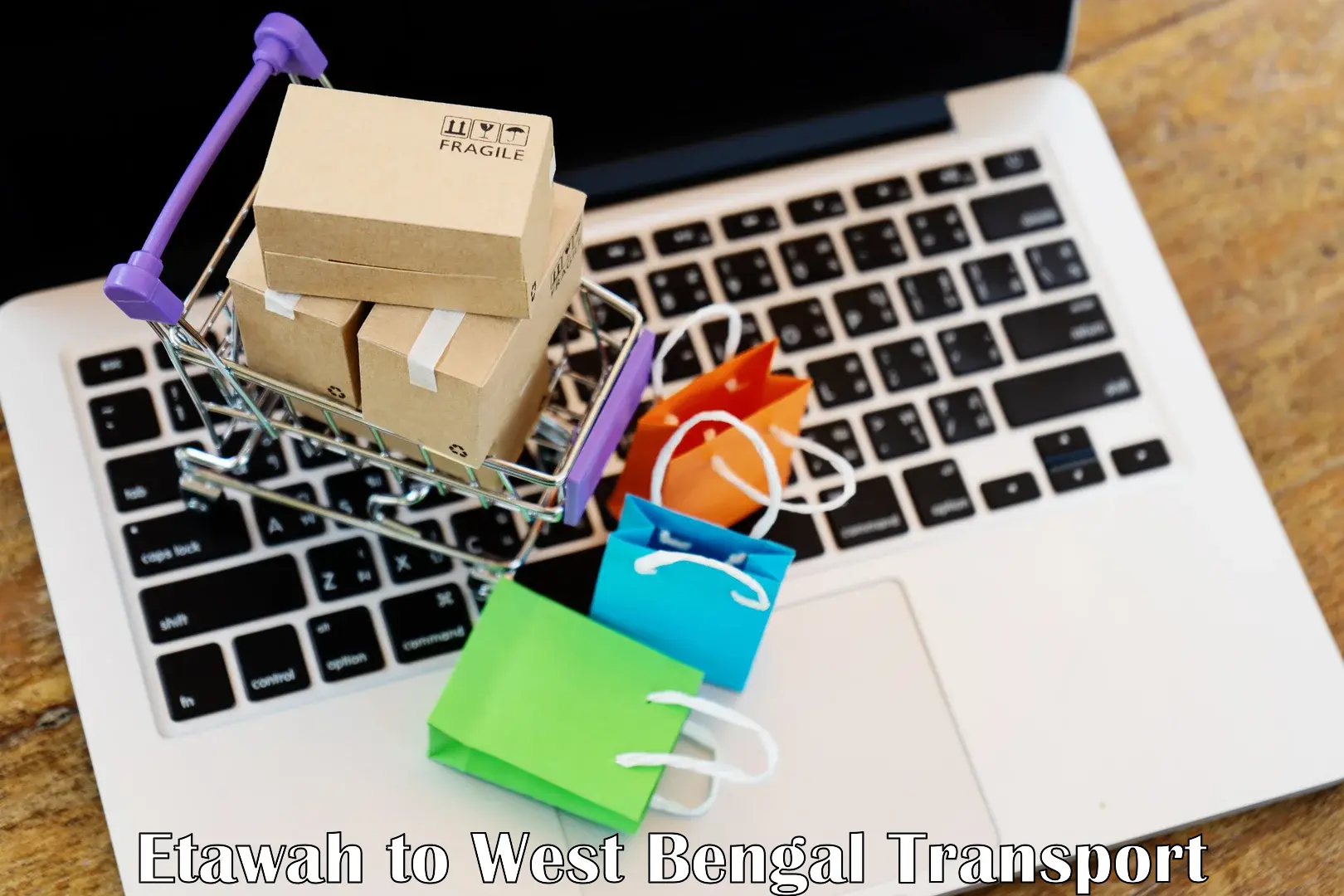 Transport services Etawah to Jadavpur University Kolkata