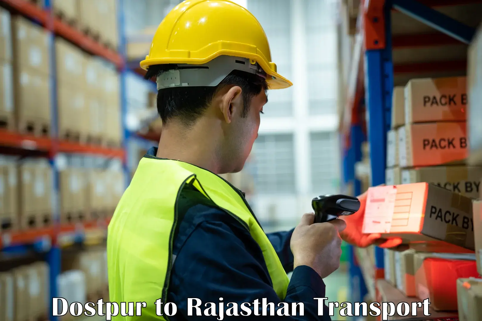 Vehicle parcel service Dostpur to Rajasthan